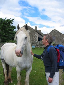Horse and Michael